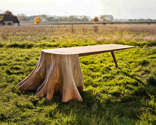 thomas de lussac uproots tree stump to form racine carré natural table