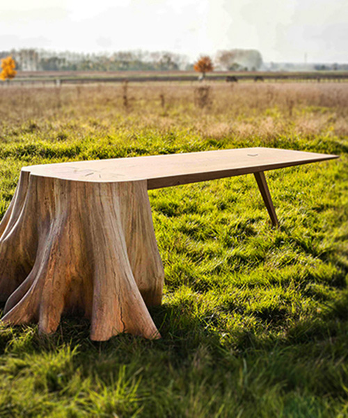 thomas de lussac uproots tree stump to form racine carré natural table