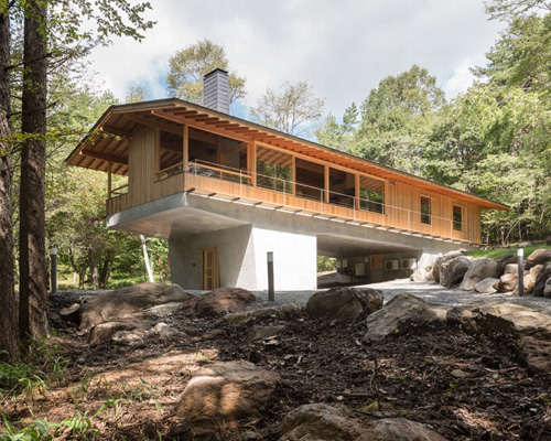 toshihito yokouchi elevates timber dwelling above the japanese woodland