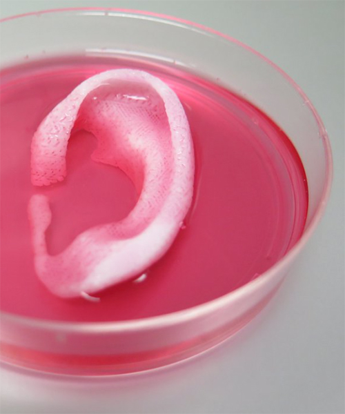 scientists produce functioning 3D printed replacement tissue