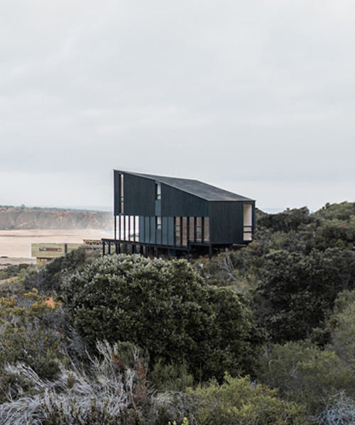 whale! architecture perches casa encallada along chilean coast