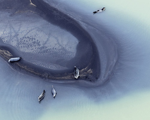 zack seckler documents icelandic coast in aerial abstracts series