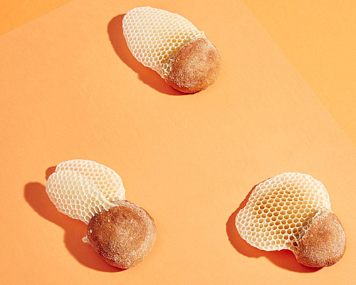 bread meets honey in collaborative sculpture exhibition at hotel hotel