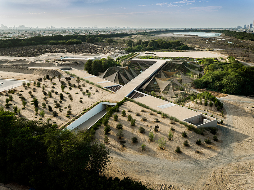 X-architects embeds visitor center into sharjah's wasit nature reserve