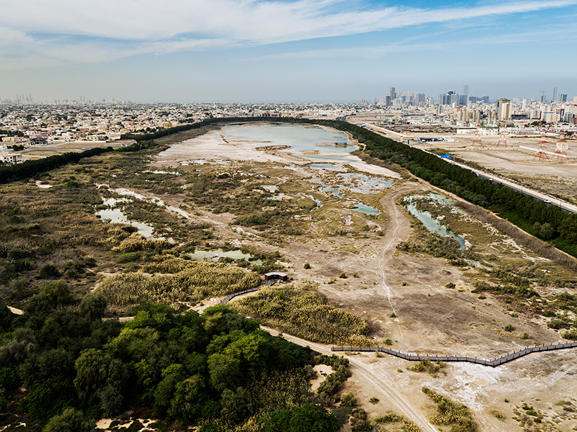 X-architects-wasit-natural-reserve-visitor-centre-sharjah-UAE-designboom-02
