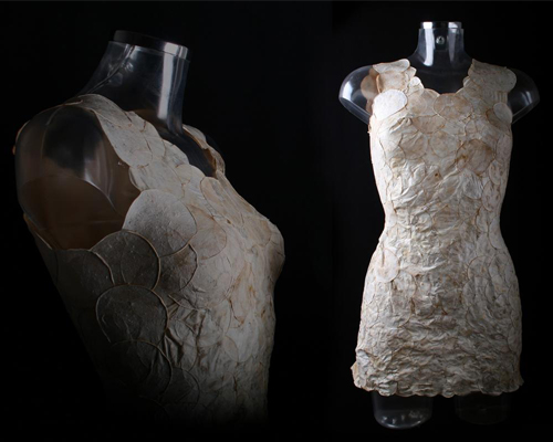 aniela hoitink uses mushroom mycelium to weave dress