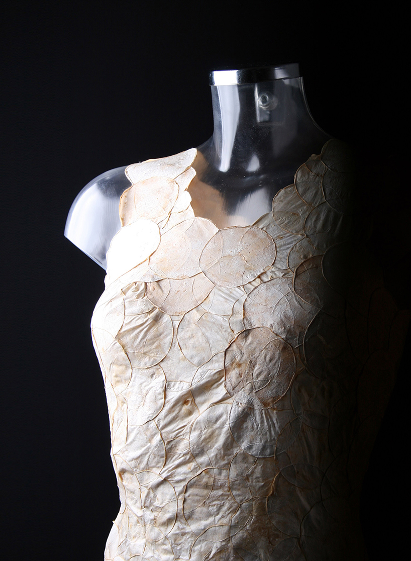 aniela hoitink uses mushroom mycelium to weave dress