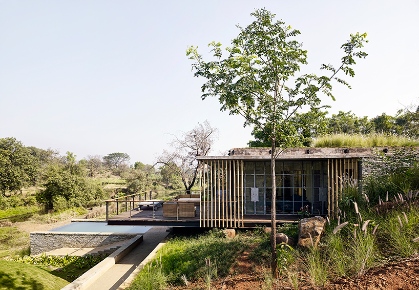 architecture brio's riparian house near mumbai is embedded into the natural landscape