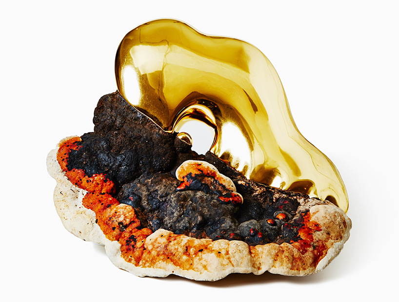 azuma makoto debuts fungi sculptures with early botanical works at chamber gallery