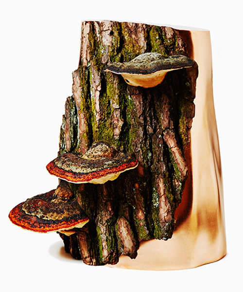 azuma makoto debuts fungi sculptures with early botanical works at chamber gallery
