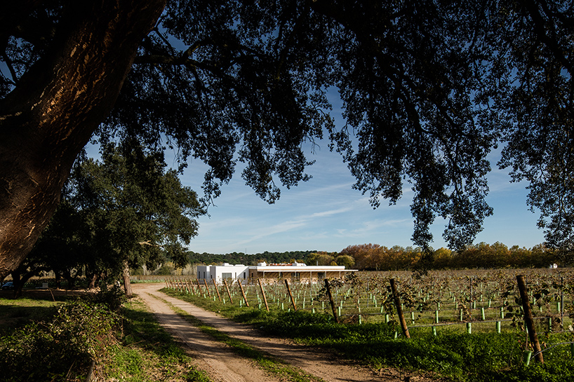 blaanc-vinyard-house-casa-da-vinha-montijo-portugal-designboom-02