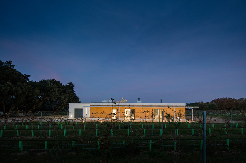 blaanc-vinyard-house-casa-da-vinha-montijo-portugal-designboom-02