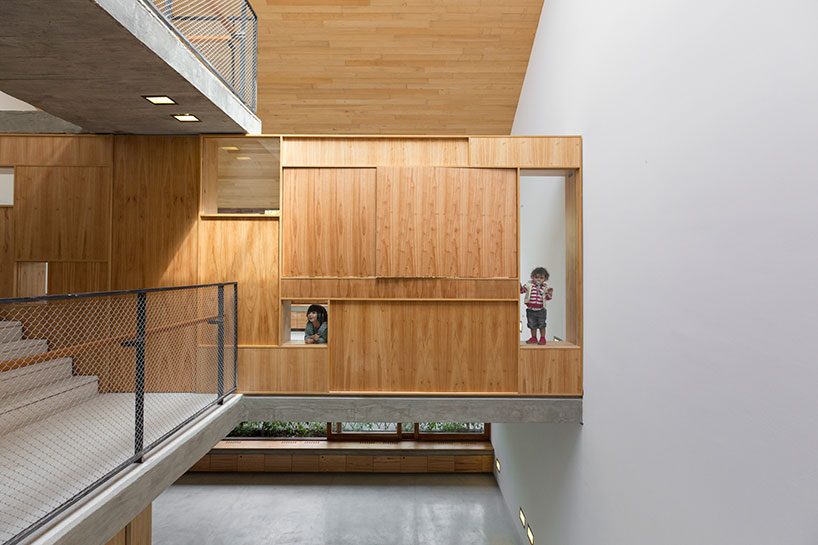 baag creates casa scout as a vertical nature observatory