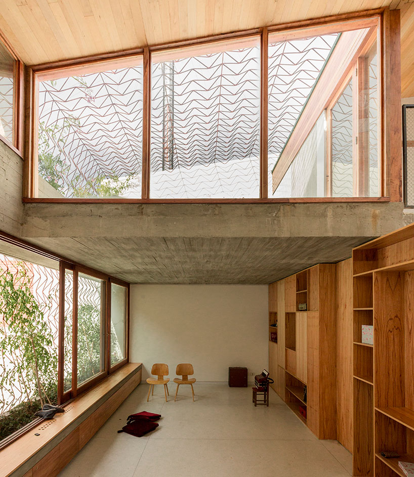 baag creates casa scout as a vertical nature observatory