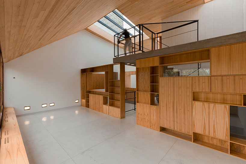 baag creates casa scout as a vertical nature observatory