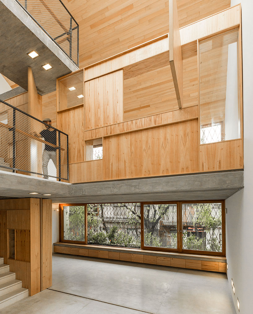 baag creates casa scout as a vertical nature observatory