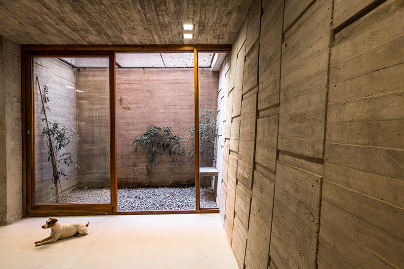 baag creates casa scout as a vertical nature observatory