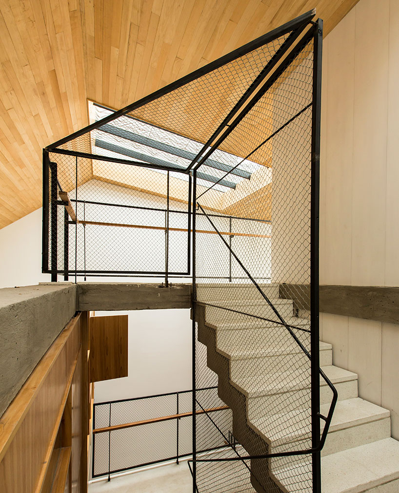 baag creates casa scout as a vertical nature observatory