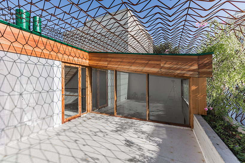 baag creates casa scout as a vertical nature observatory