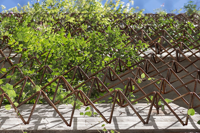 baag creates casa scout as a vertical nature observatory