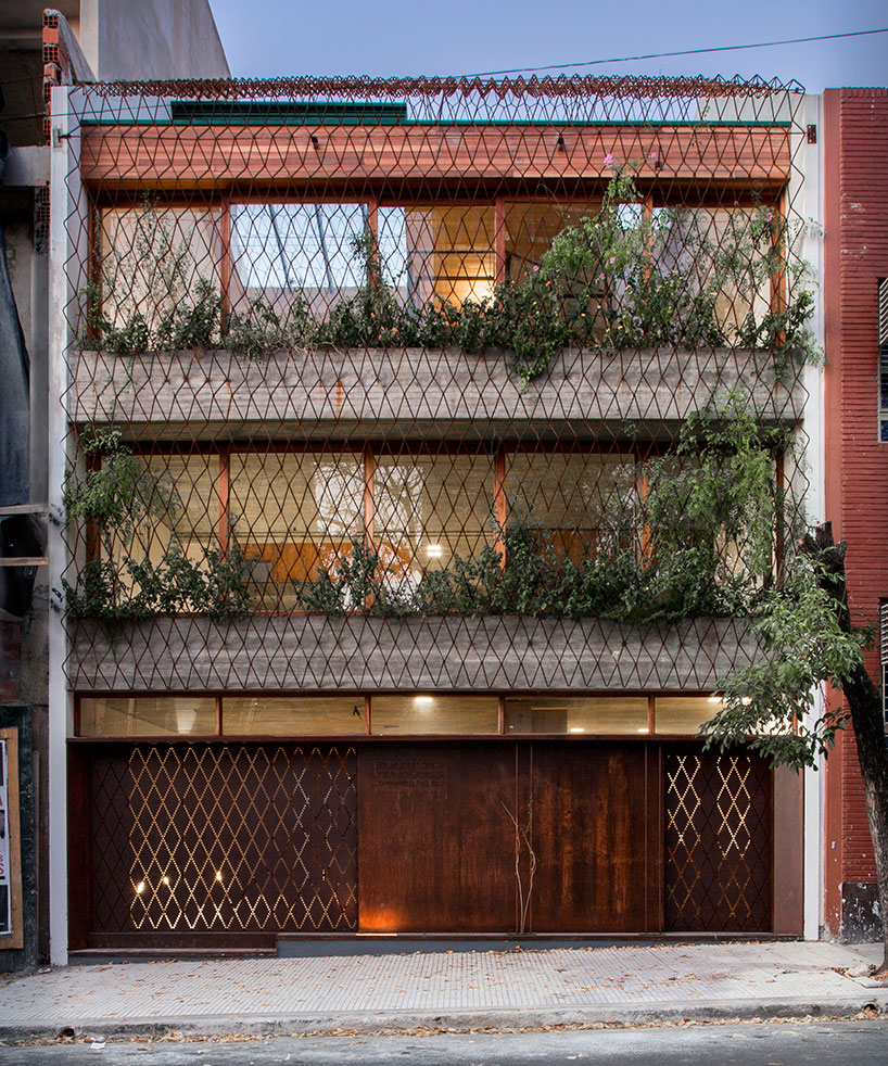 baag creates casa scout as a vertical nature observatory