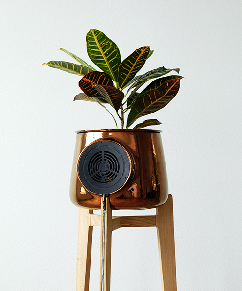 clairy launches kickstarter campaign to fund natural air purifier