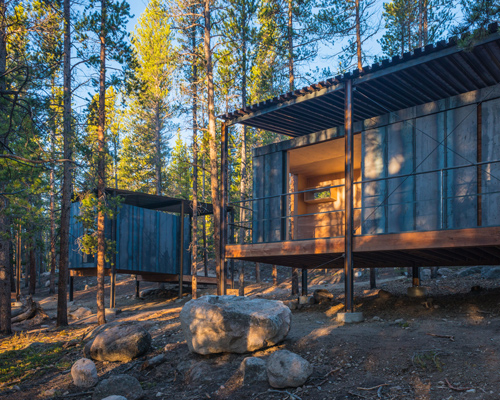 colorado building workshop constructs 14 micro cabins within a lodgepole pine forest