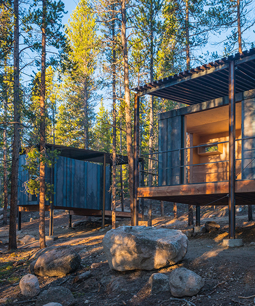 colorado building workshop constructs 14 micro cabins within a lodgepole pine forest