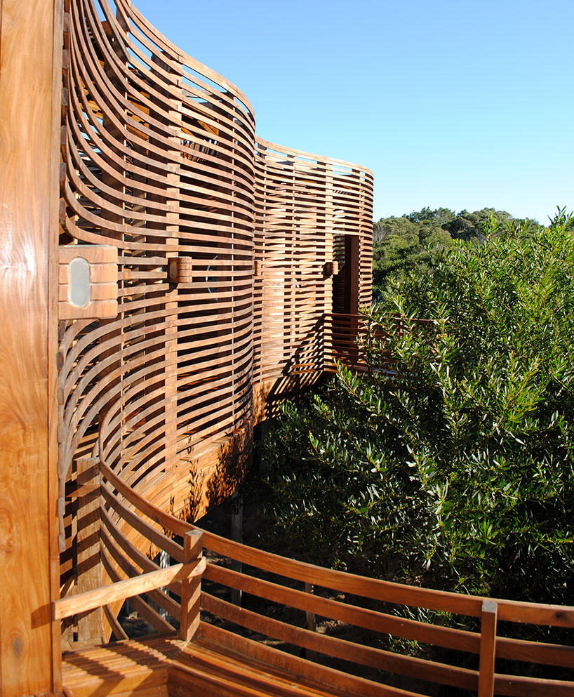 matias sambarino builds seafront house 'follow nature!'