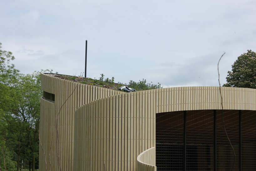 frank-marcus-pavilion-for-bees-bijenpaviljoen-holland-designboom-02