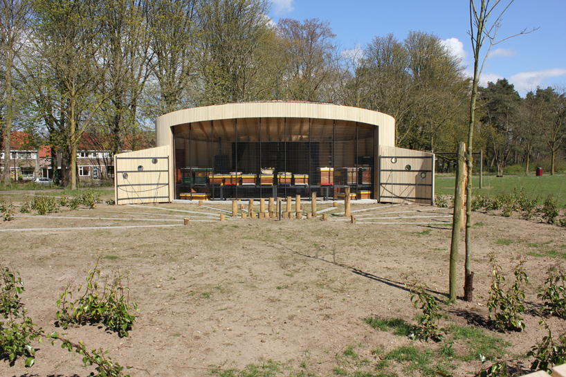 frank-marcus-pavilion-for-bees-bijenpaviljoen-holland-designboom-02