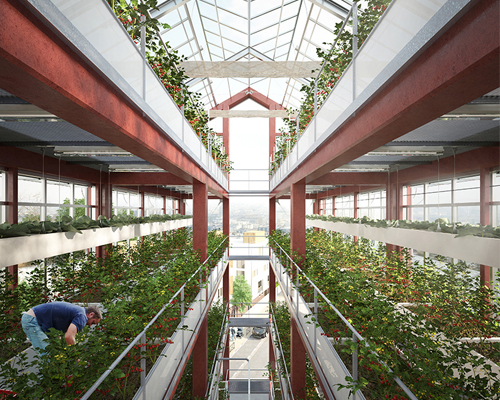 ilimelgo's vertical farm introduces urban agriculture in grand paris