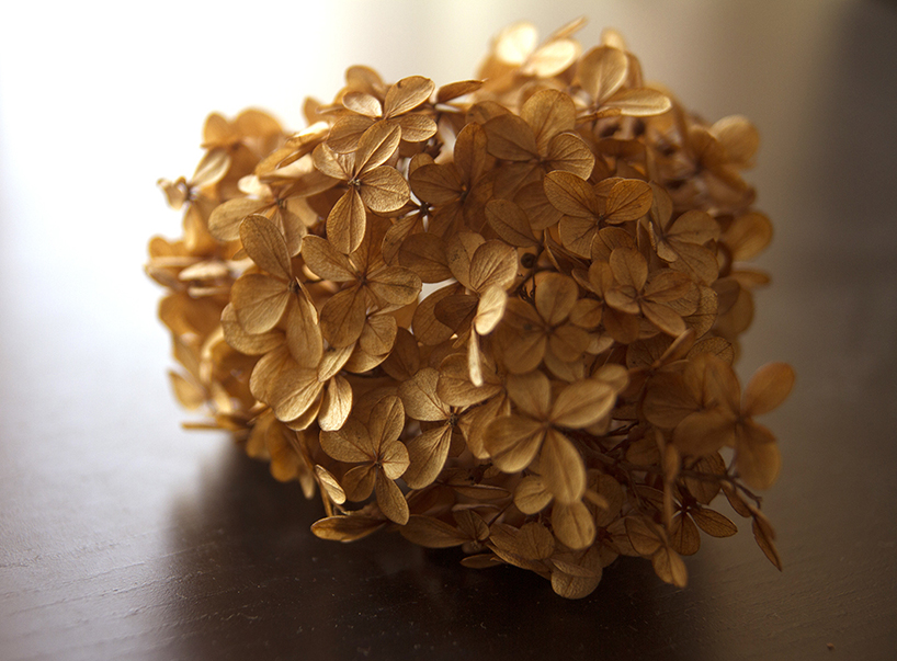 jean-michel-bihorel-flower-figures-designboom-02