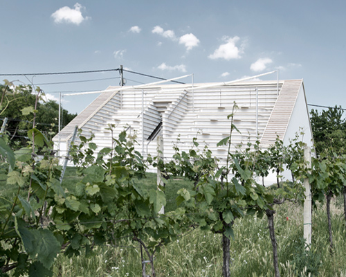 march gut transforms rear of weinblick winery into stepped seating