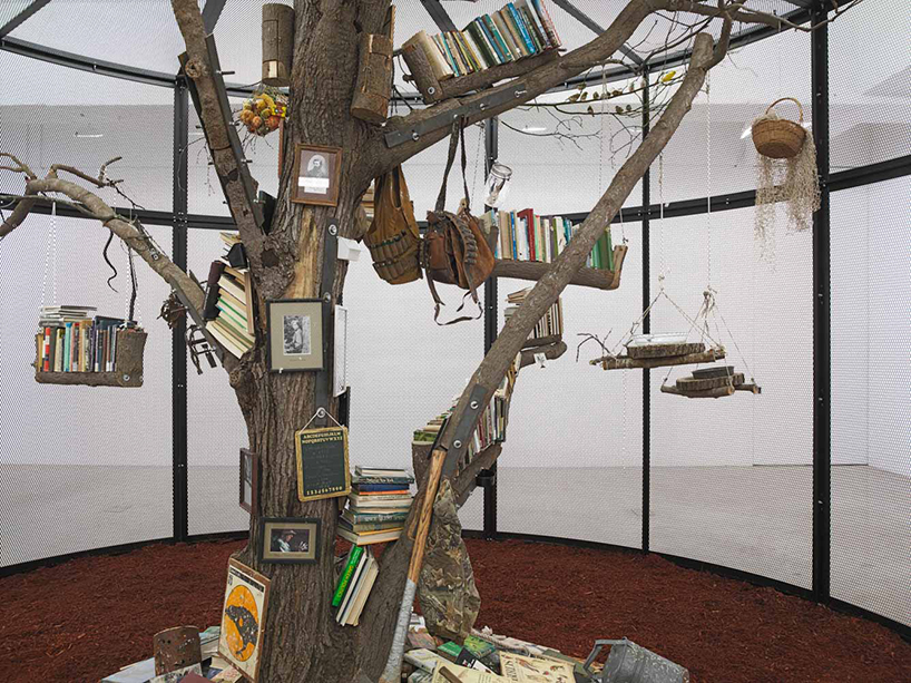 mark dion builds a library for the birds of new york