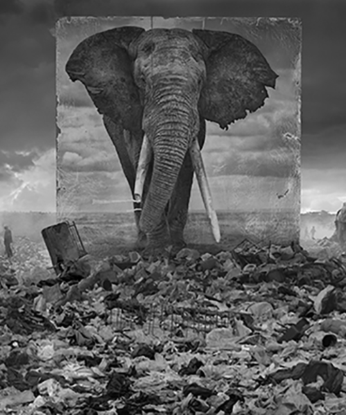 nick brandt installs images of east africa's vanishing wildlife in industrialized wastelands