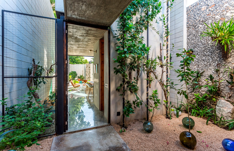 raw-house-taller-estilo-arquitectura-mexico-designboom-02