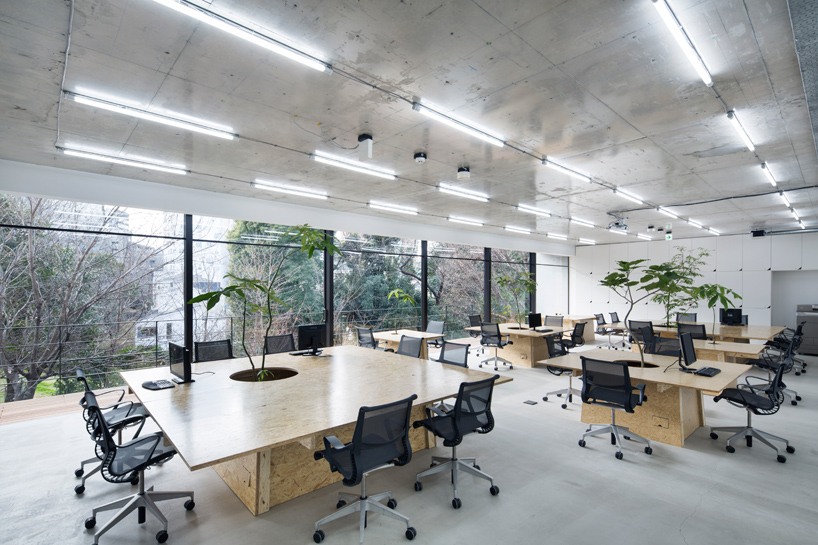 schemata-architects-nakagawa-masashichi-shoten-omotesando-office-tokyo-designboom-02