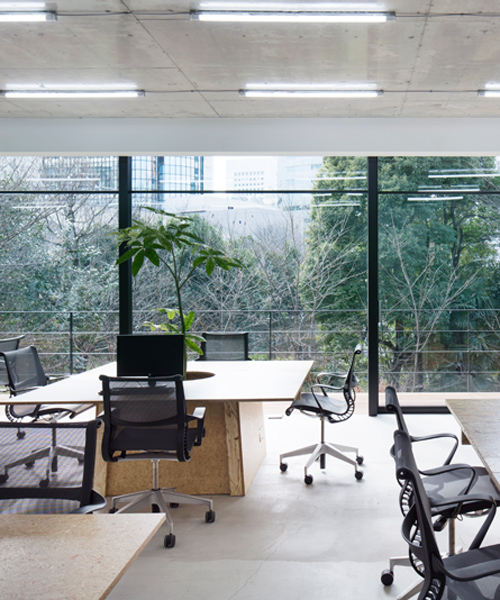 schemata architects brings plant life into tokyo office space