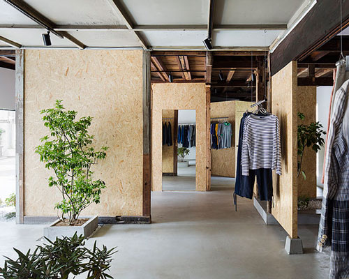 studio201architects enhances vintage clothing store with plants and plywood