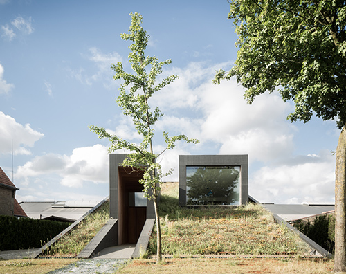 OYO's sloped flowering house emerges from the landscape in belgium