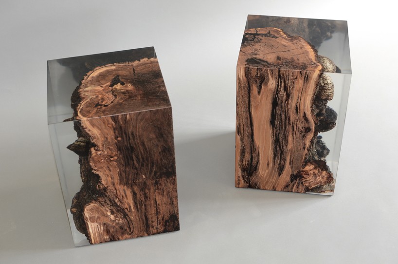 alcarol fungi collection designboom