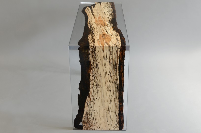 alcarol fungi collection designboom