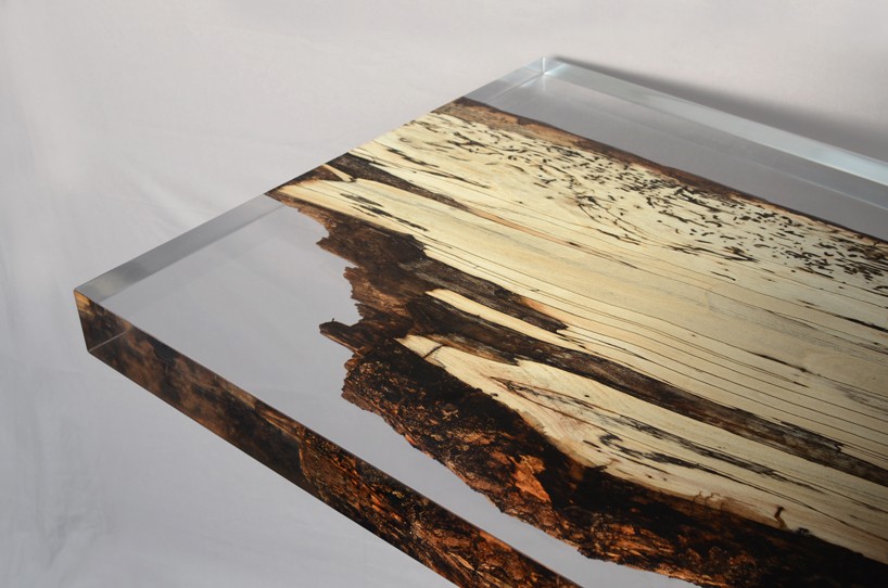 alcarol fungi collection designboom