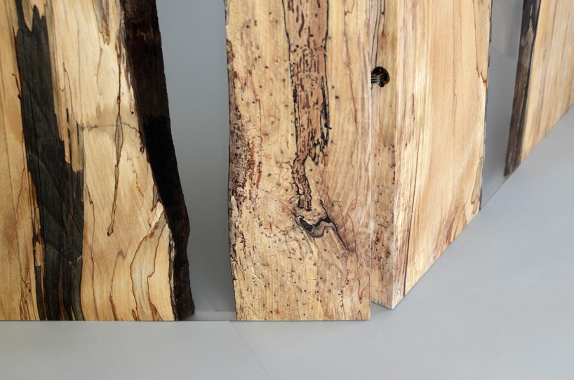 alcarol fungi collection designboom