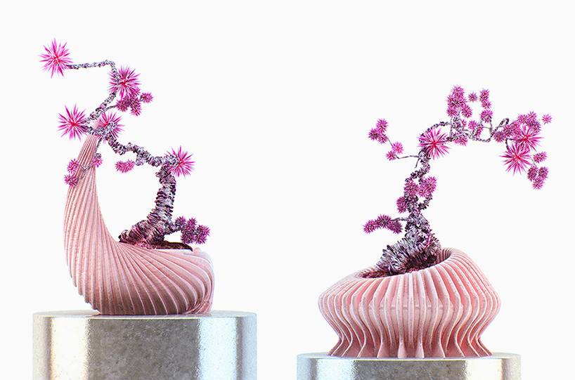 alien bonsaïs: an extra-terrestrial tree species by chaotic atmospheres