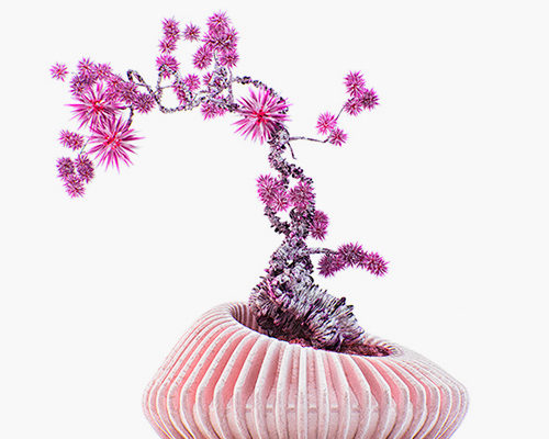 alien bonsaïs: an extra-terrestrial tree species by chaotic atmospheres