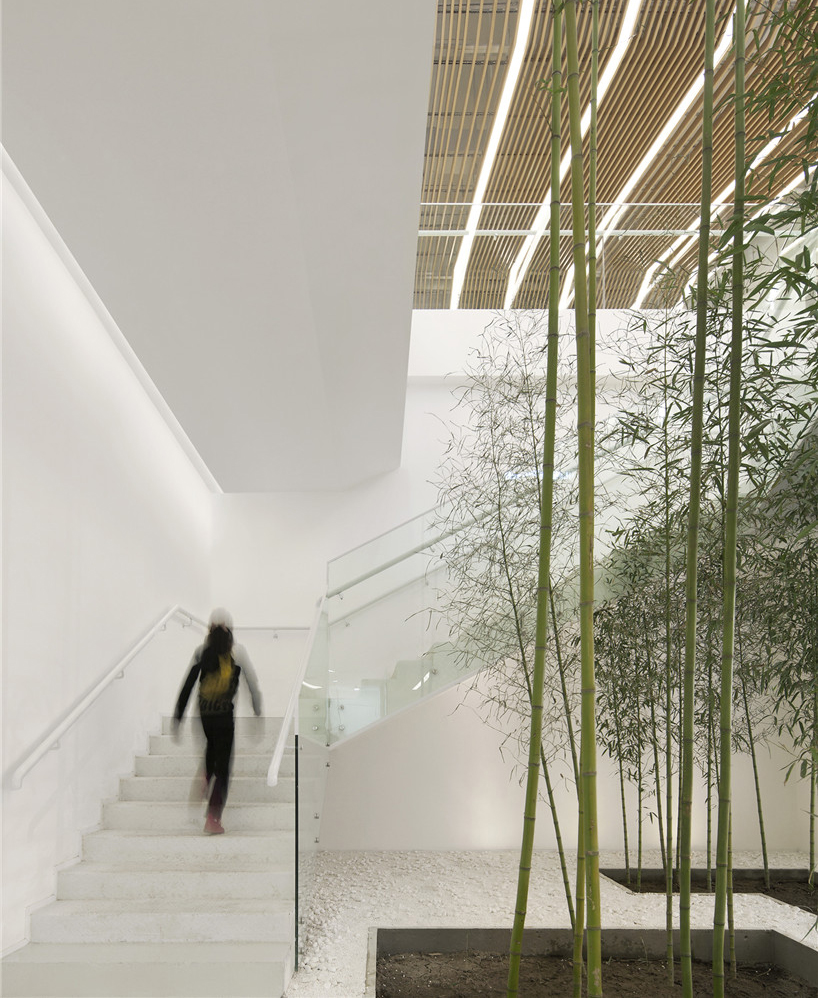 archstudiodesignboom04