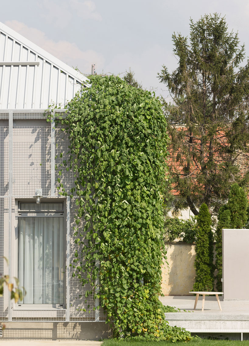 autori-house-23-hostel-terra-panonica-estate-designboom-02