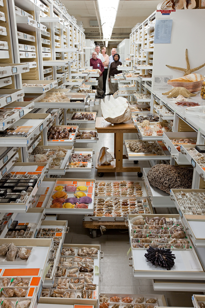 backroom-storage-at-the-smithsonian-natural-history-museum-designboom-02